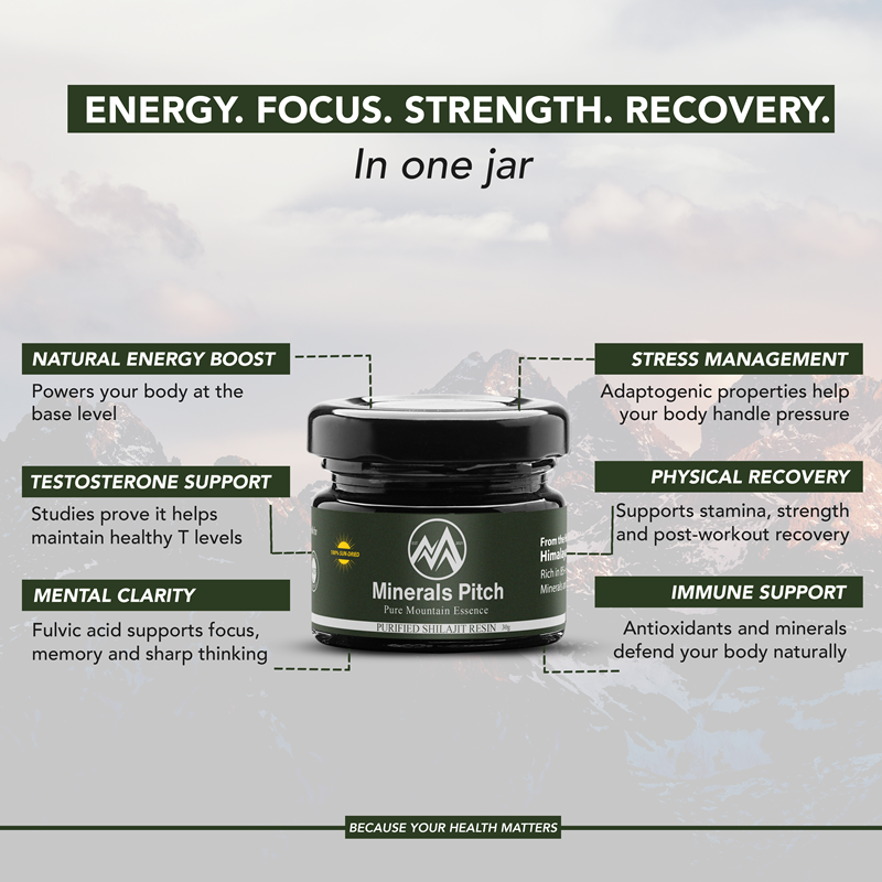 Natural Himalayan Shilajit Resin 30G — Minerals Pitch Brand Minerals Pitch