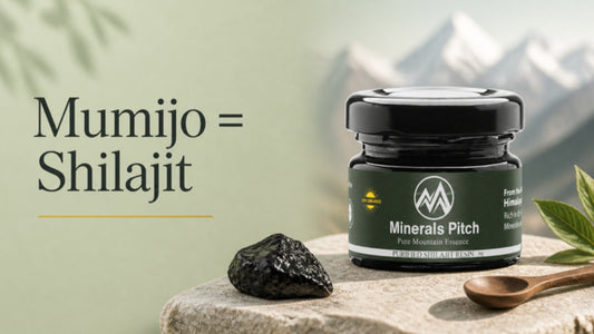 Mumijo = Shilajit - Minerals Pitch Himalayan Shilajit resin jar with raw resin on a mountain stone