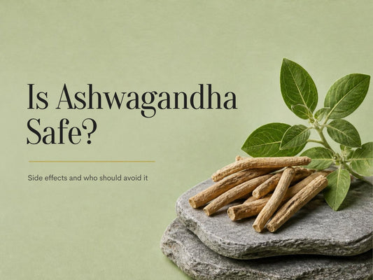 Is ashwagandha safe? Dried ashwagandha roots and powder on a stone