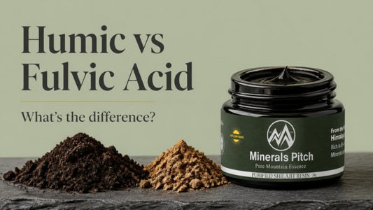 Humic vs fulvic acid - Minerals Pitch Shilajit resin jar between dark and golden soil