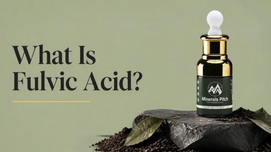 What is fulvic acid - Minerals Pitch Himalayan Shilajit drops bottle on mountain stone with soil and leaves