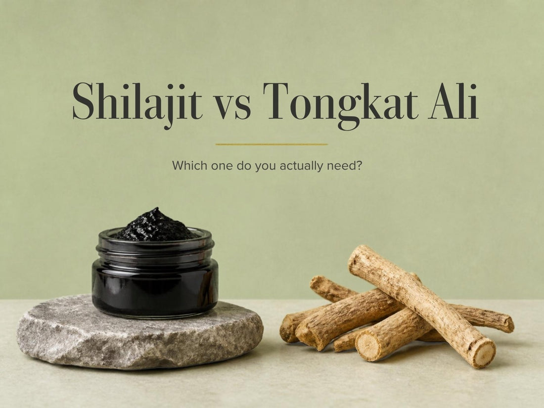 Shilajit resin jar beside dried Tongkat Ali root pieces