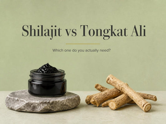 Shilajit resin jar beside dried Tongkat Ali root pieces