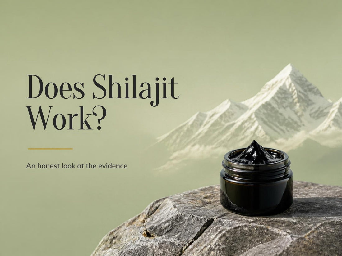 Does Shilajit Work? A jar of Shilajit resin on a stone with snowy mountains behind