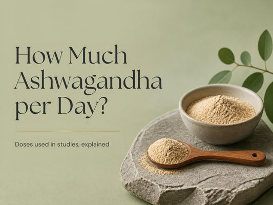 How much ashwagandha per day: measured ashwagandha root powder on a stone