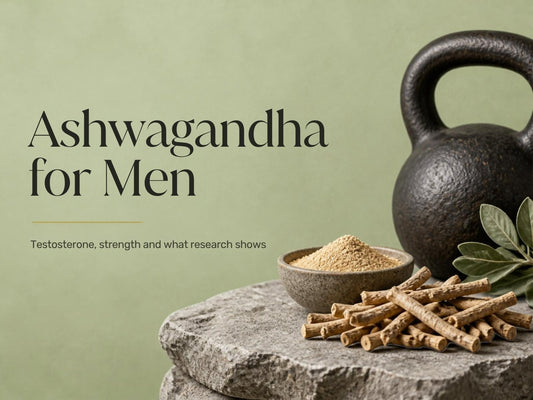 Ashwagandha for men: ashwagandha roots and powder on a grey stone