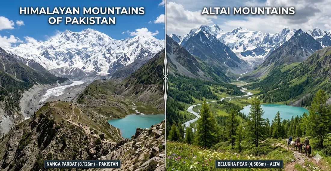 Himalayan Shilajit vs Altai Shilajit: What's the Difference? Natural Himalayan Shilajit | MineralsPitch