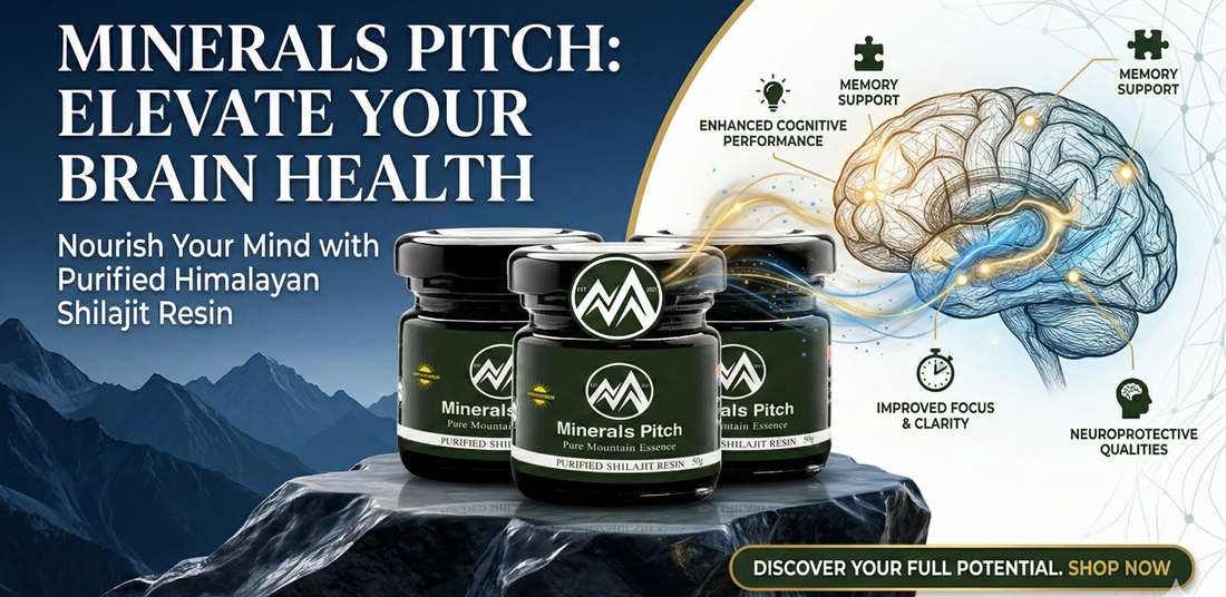 Shilajit and Brain Health: The Conversation Beyond Alzheimer's Natural Himalayan Shilajit | MineralsPitch