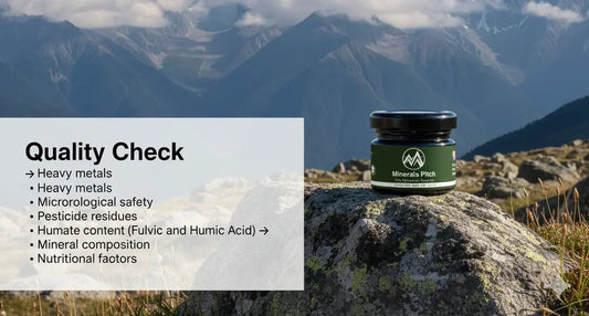 Authentic Shilajit vs Fake Shilajit - How to Tell the Differenc Natural Himalayan Shilajit | MineralsPitch