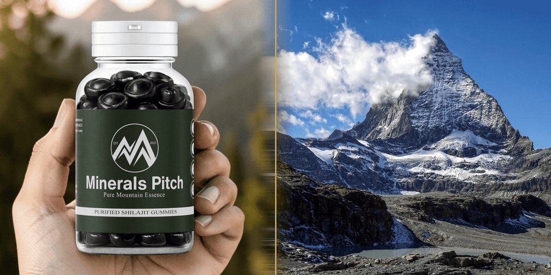 Do Shilajit Gummies Work? Natural Himalayan Shilajit | MineralsPitch