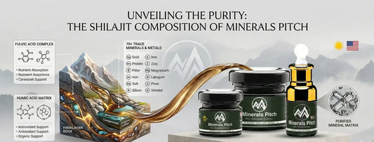 What Is Shilajit Made Of? Fulvic Acid, Minerals & More Natural Himalayan Shilajit | MineralsPitch