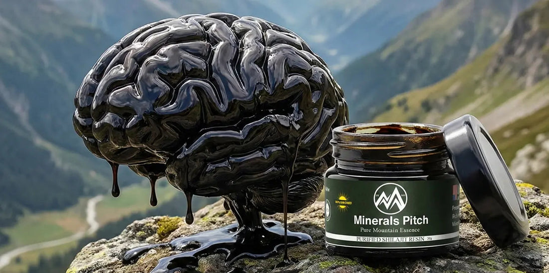 How Shilajit May Help Support Mental Resilience in High-Stress Environments Natural Himalayan Shilajit | MineralsPitch