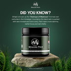 Shilajit Resin | 50Gram