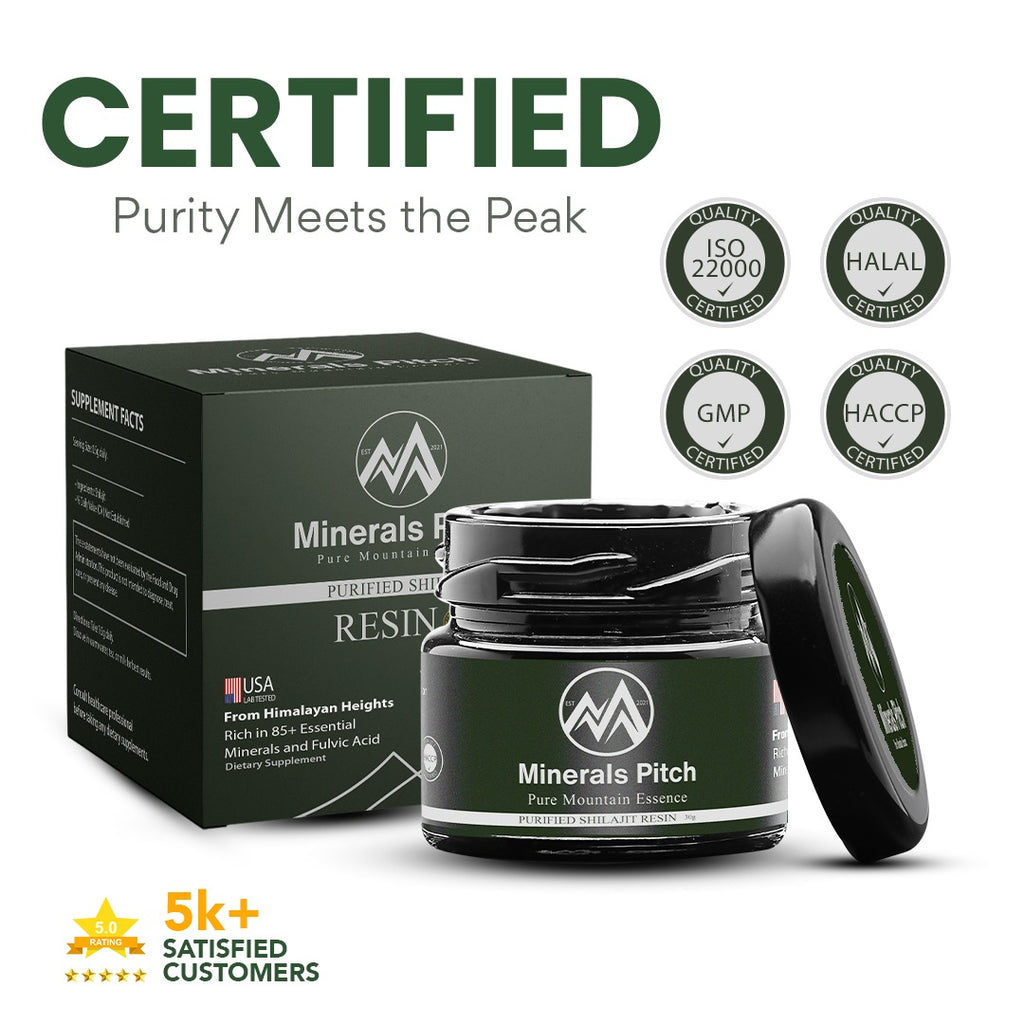 Himalayan Shilajit resin 30G - Organic trace minerals and natural Fulvic acid for overall wellness